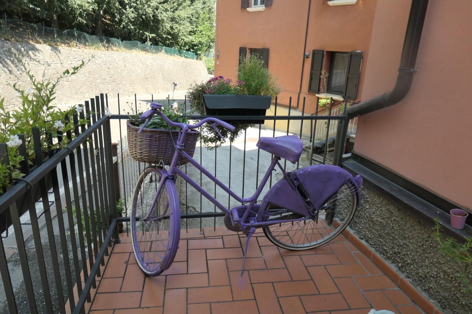 B&B Luna Castelvetro di Modena Bagian luar foto